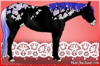 Horse Color:Watercolor Bay Roan Splash Appaloosa Rabicano