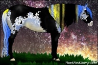 Horse Color:Watercolor Bay Splash Tobiano Appaloosa Rabicano
