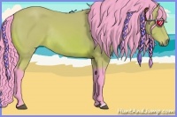 Horse Color:Watercolor Bay Rabicano 