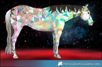 Horse Color:Buckskin Dun Splash 
