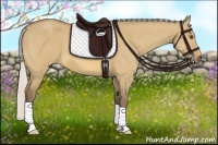 Horse Color:Silver Buckskin Dun