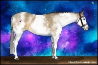 Horse Color:White Spotted Buckskin Splash 