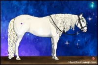 Horse Color:Perlino Splash 