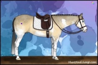 Horse Color:Buckskin Splash Rabicano 