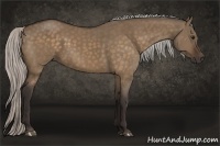 Horse Color:Silver Bay Dun 