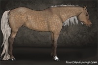 Horse Color:Silver Bay Dun 