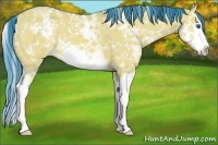 Horse Color:Watercolor White Spotted Bay Dun Splash 