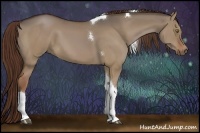 Horse Color:Liver Red Dun Tobiano 