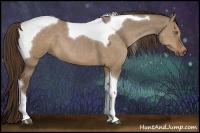 Horse Color:Liver Red Dun Tobiano