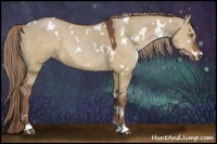 Horse Color:White Spotted Liver Red Dun Rabicano 