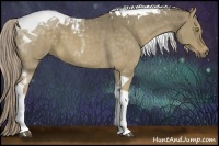 Horse Color:Chocolate Palomino Dun Tobiano 