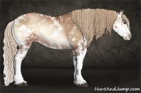 Horse Color:Liver Red Onyx Pearl Sabino Rabicano