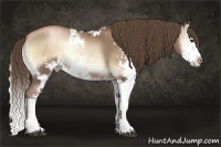 Horse Color:Liver Red Onyx Pearl Sabino Splash