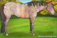 Horse Color:Nacre White Spotted Amber Champagne Ice