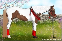 Horse Color:Chestnut Tobiano