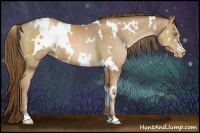 Horse Color:White Spotted Liver Chestnut Pearl 