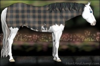 Horse Color:Plaid  Black Sabino Splash 
