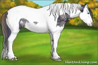 Horse Color:Plaid Black Ice Splash Tobiano Appaloosa Rabicano