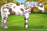 Horse Color:White Spotted Silver Bay Splash Tobiano