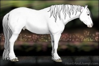 Horse Color:Grullo Ice Sabino Splash Tobiano 