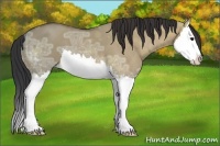 Horse Color:Bay Ice Dun Splash 