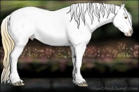 Horse Color:Plaid Classic Cream Champagne Sabino Splash Tobiano Appaloosa