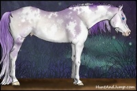 Horse Color:Watercolor White Spotted Bay Onyx Splash Rabicano