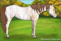 Horse Color:Bay Ice Pearl 