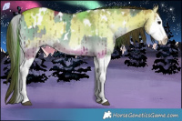 Horse Color:White Spotted Silver Grullo Onyx Sabino Splash Brindle  and White Spotted Classic Champagne Onyx Sabino Splash Brindle