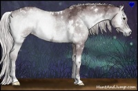 Horse Color:White Spotted Chocolate Silver Blue Onyx Chinchilla Ice 