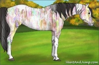 Horse Color:Buckskin Ice Tobiano 