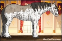 Horse Color:Grullo Sabino Splash  and Smoky Grullo Sabino Splash 