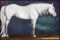 Horse Color:White Spotted Chocolate Silver Grullo Chinchilla Pearl 