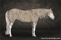 Horse Color:Grullo Sabino Splash  and Silver Grullo Sabino Splash 