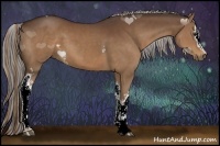 Horse Color:Painted White Spotted Liver Chestnut 