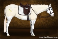 Horse Color:Buckskin Pearl Dun Splash 
