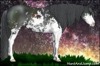 Horse Color:Black Chinchilla Sabino 