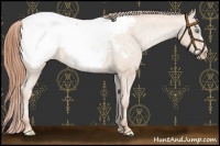 Horse Color:Buckskin Pearl Appaloosa 