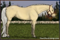 Horse Color:Silver Buckskin Dun