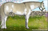 Horse Color:Liver Red Dun Splash