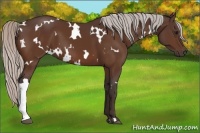 Horse Color:White Spotted Silver Brown