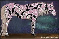 Horse Color:Watercolor Palomino Sabino Appaloosa 