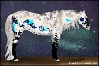 Horse Color:Chocolate Palomino Onyx Sabino 