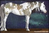 Horse Color:White Spotted Liver Red Dun Splash 