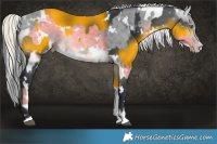 Horse Color:White Spotted Silver Brown Chinchilla  and White Spotted Amber Champagne Chinchilla 