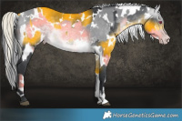 Horse Color:White Spotted Silver Brown Chinchilla  and White Spotted Amber Champagne Chinchilla 