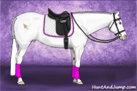Horse Color:Bay Chinchilla Dun Splash Varnish 