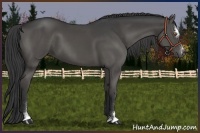 Horse Color:Smoky Black Sabino 