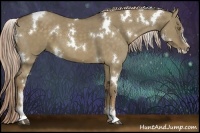 Horse Color:White Spotted Chocolate Palomino Dun Sabino 