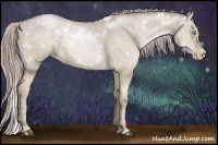 Horse Color:White Spotted Chocolate Palomino Pearl Dun 